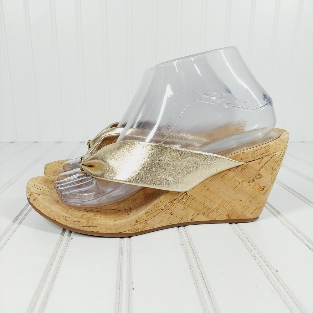 Alex Marie Platform Wedge Thong Sandals C172